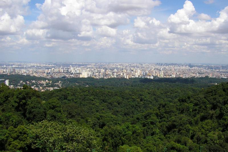 São Paulo: Cantareira Forest Hiking & Waterfalls Private Experience