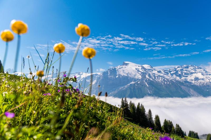 View to Mt. Titlis above the fog