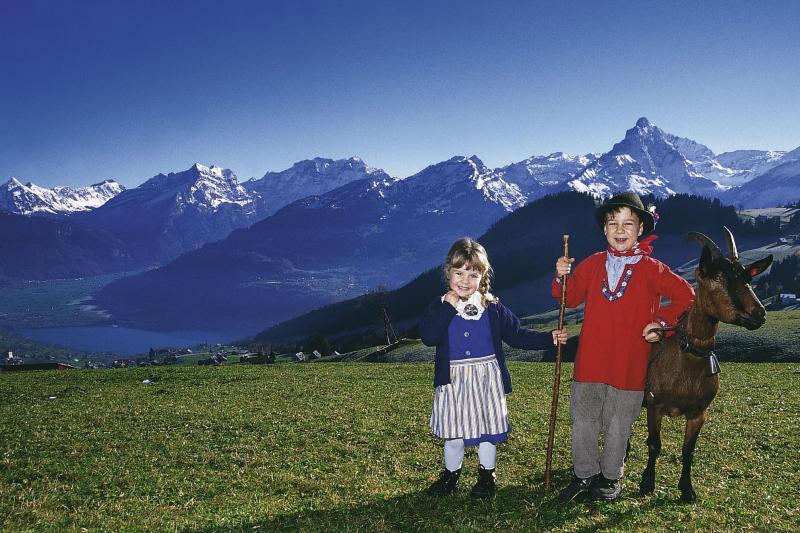 heidiland and liechtenstein tour from zurich