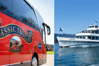 Zurich: Circle Tour - City Tour and Lake Cruise