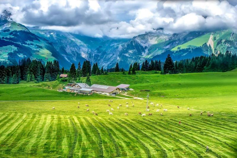6-Days Swiss Grand Alpine Tour From Lucerne