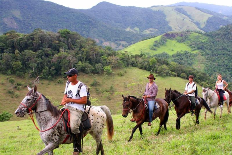 Paraty: Horseback Riding Tour