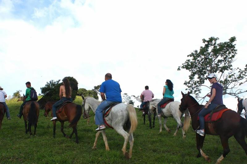 Paraty: Horseback Riding Tour