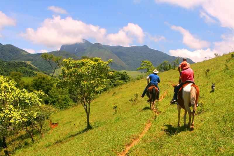 Paraty: Horseback Riding Tour