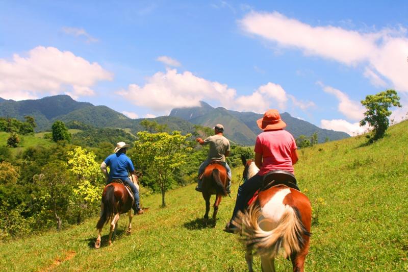Paraty: Horseback Riding Tour