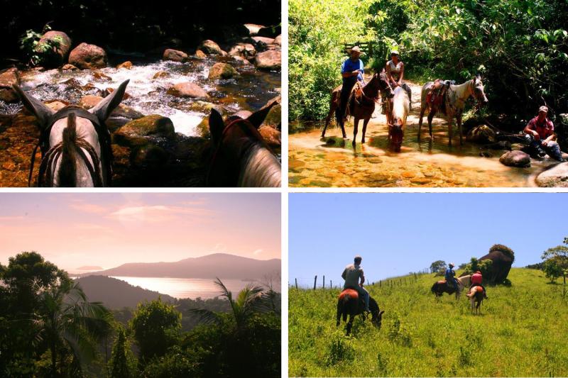 Paraty: Horseback Riding Tour