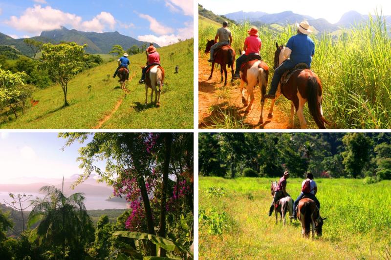 Paraty: Horseback Riding Tour