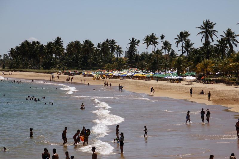 Salvador: Praia do Forte, Tamar Sea Turtle Project & Guarajuba Beach: Full Day