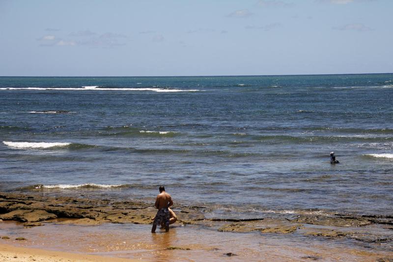 Salvador: Praia do Forte, Tamar Sea Turtle Project & Guarajuba Beach: Full Day