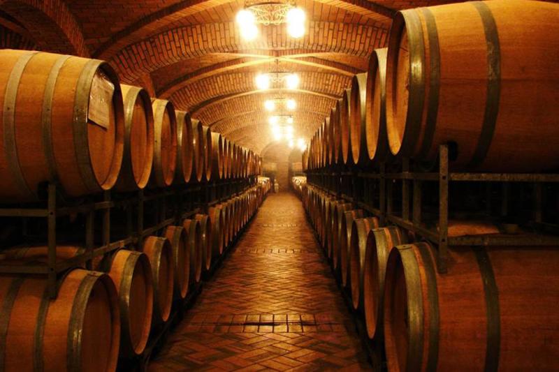 From Gramado: Wineries, Maria Fumaça Train & Italian Epic Park: Full Day