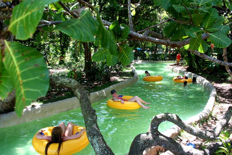 Floating among trees is quite relaxing