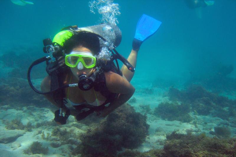 Explore the creatures of the sea on this reef excursion