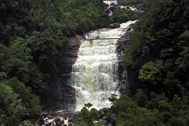 Lots of water and green will make your day full of peace and harmony
