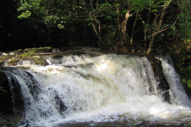 From Manaus: Presidente Figueiredo Waterfalls Tour with English or Portuguese Guide: Full Day