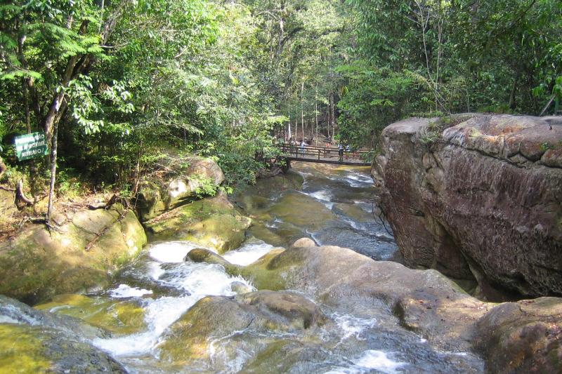 From Manaus: Presidente Figueiredo Waterfalls Tour with English or Portuguese Guide: Full Day