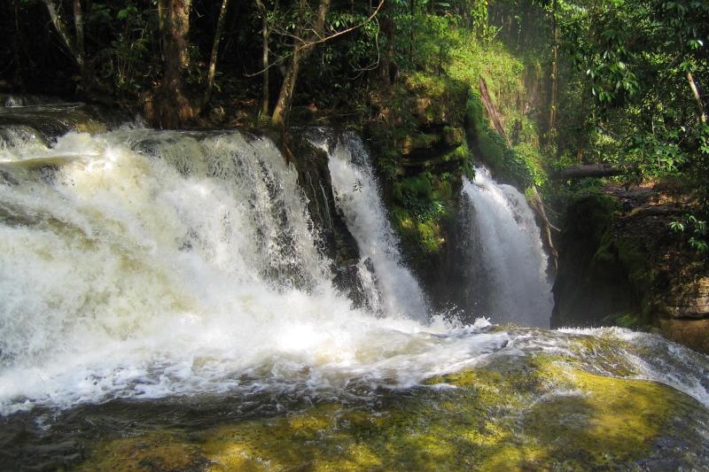 From Manaus: Presidente Figueiredo Waterfalls Tour with English or Portuguese Guide: Full Day