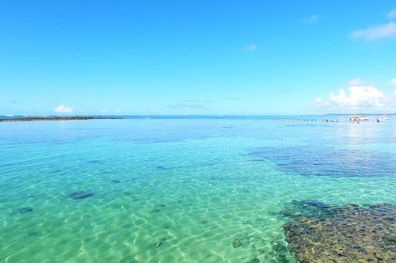 Enjoy heavenly beaches of Maragogi