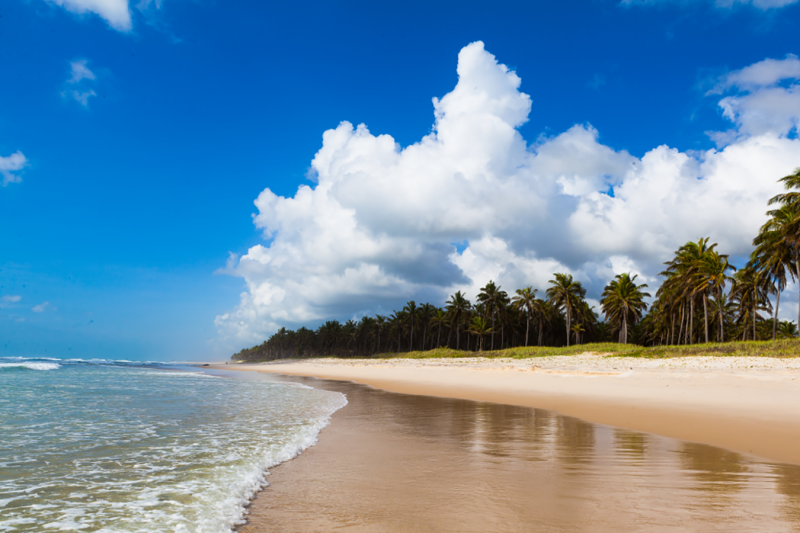 Maceió: Frances Beach & South Coast Tour with Private English Guide