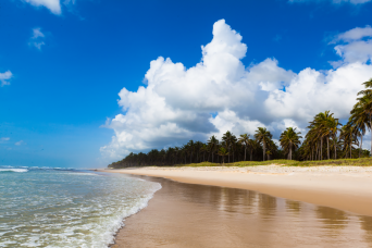Maceió: Frances Beach & South Coast Tour with Private English Guide