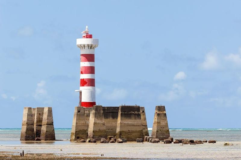 Maceió: Frances Beach & South Coast Tour with Private English Guide