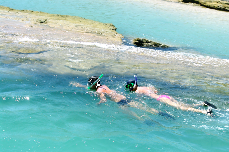 Maceió: Frances Beach & South Coast Tour with Private English Guide