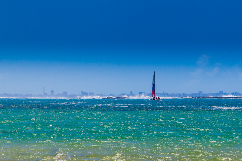 Maceió: Frances Beach & South Coast Tour with Private English Guide
