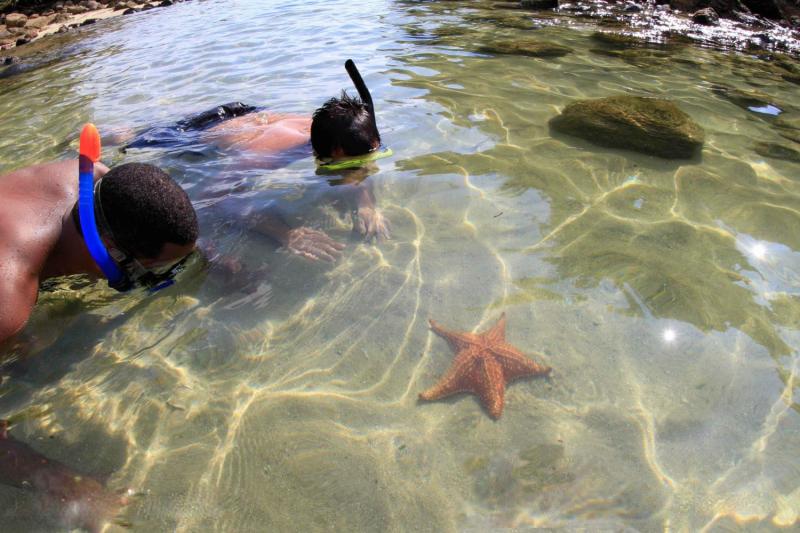 Chasing starfishes is awesome