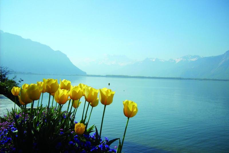 Geneva Lake