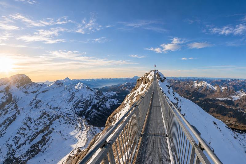 Peak Walk - Bridge