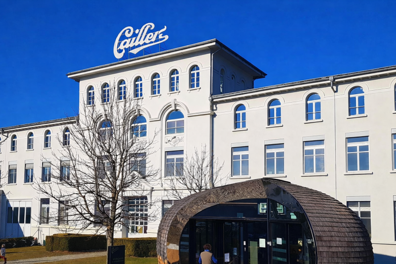 From Geneva: Gruyères Chocolate & Cheese Gold Tour 1 Day