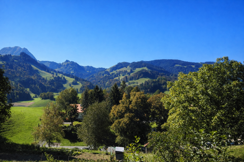 Gruyeres