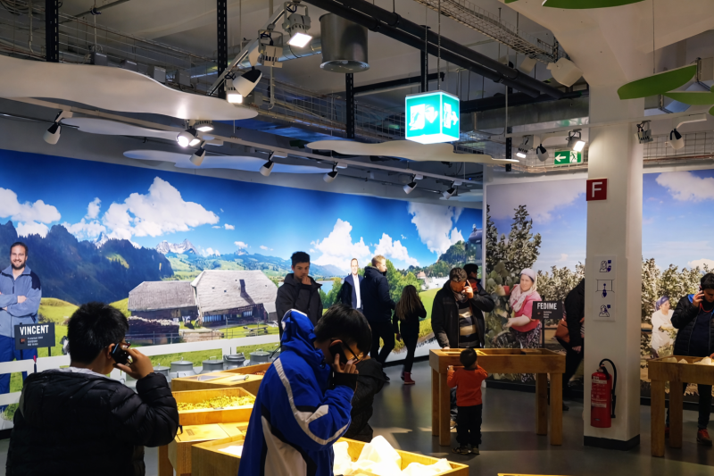From Geneva: Gruyères Chocolate & Cheese Gold Tour 1 Day