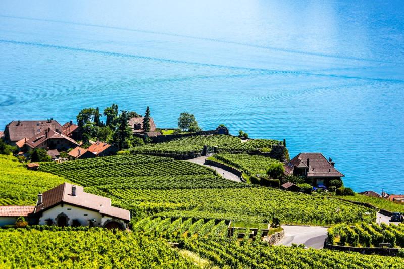 Lavaux viniards UNESCO