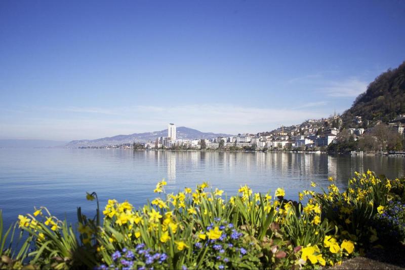 Swiss Riviera