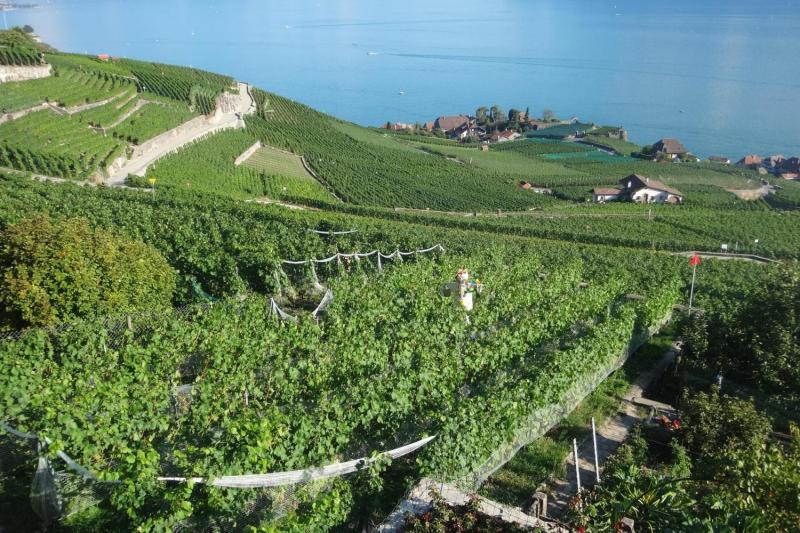 Lavaux UNSECO