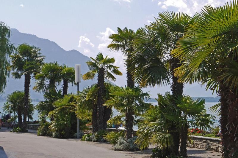 Montreux