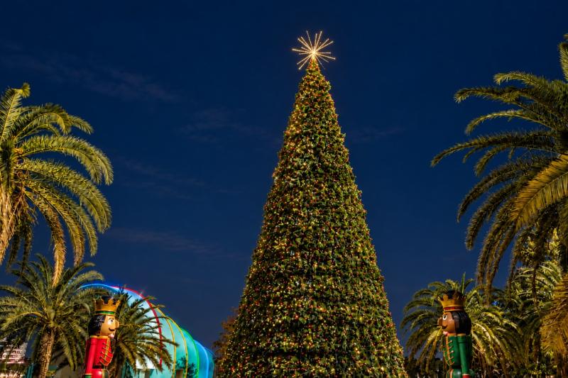 See the whimsicle lights and trees at Lake Eola