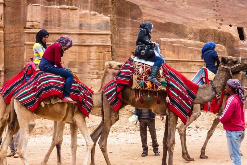 CAMELS IN PETRA