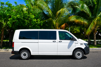 Puerto Vallarta: One Way Private Mini Van