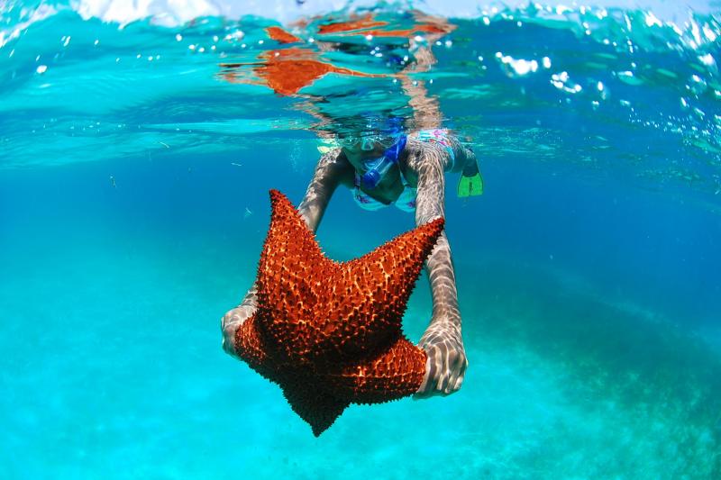 Excursion to Saona Island
