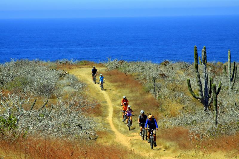 Mountain Bike Experience tour Los Cabos, Mexico Gray Line