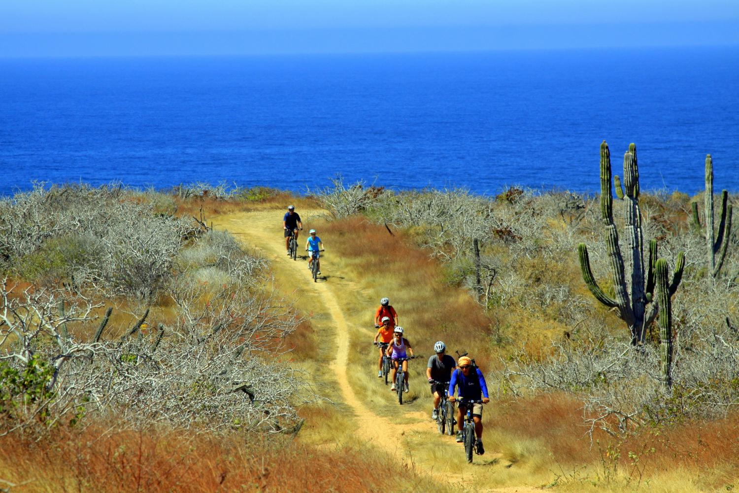 Mountain Bike Experience tour Los Cabos, Mexico Gray Line