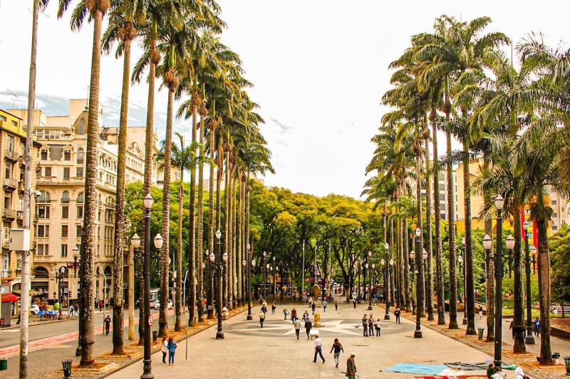 São Paulo: Private Transfer Between Congonhas Airport (CGH) & Hotels