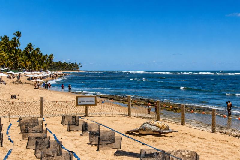 Salvador: Shared Airport Shuttle Between SSA Airport & Costa do Sauípe or Praia do Forte Hotels