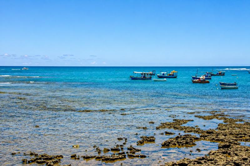 Salvador: Shared Airport Shuttle Between SSA Airport & Costa do Sauípe or Praia do Forte Hotels
