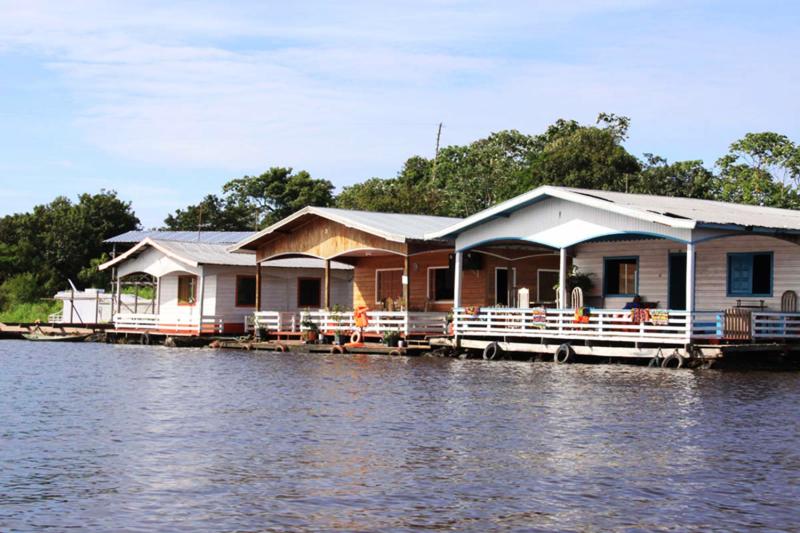 Manaus: Amazon Full-Day Experience with Indigenous Village, Pink Dolphins & Meeting of the Waters