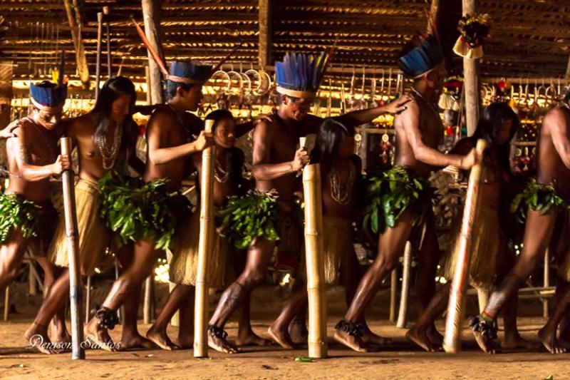 Manaus: Amazon Full-Day Experience with Indigenous Village, Pink Dolphins & Meeting of the Waters