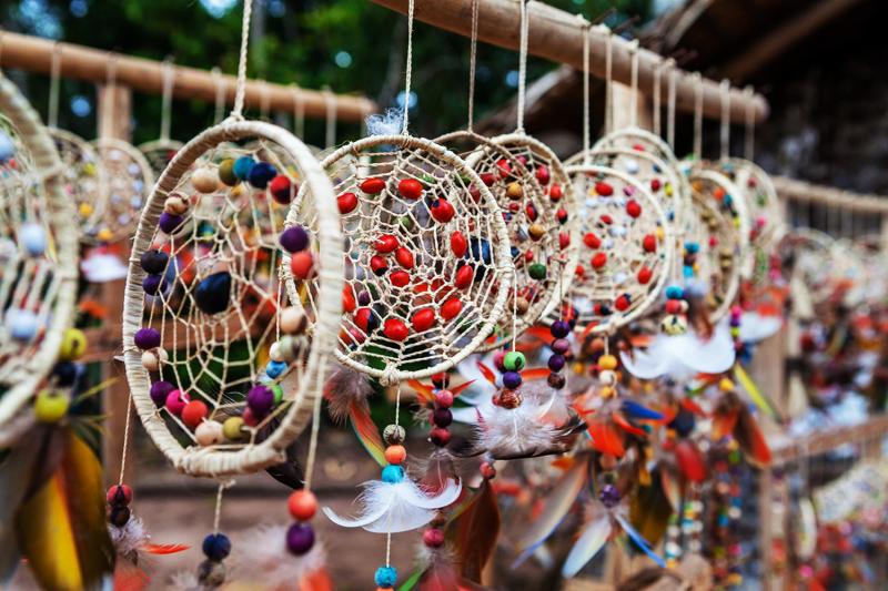 Manaus: Amazon Full-Day Experience with Indigenous Village, Pink Dolphins & Meeting of the Waters