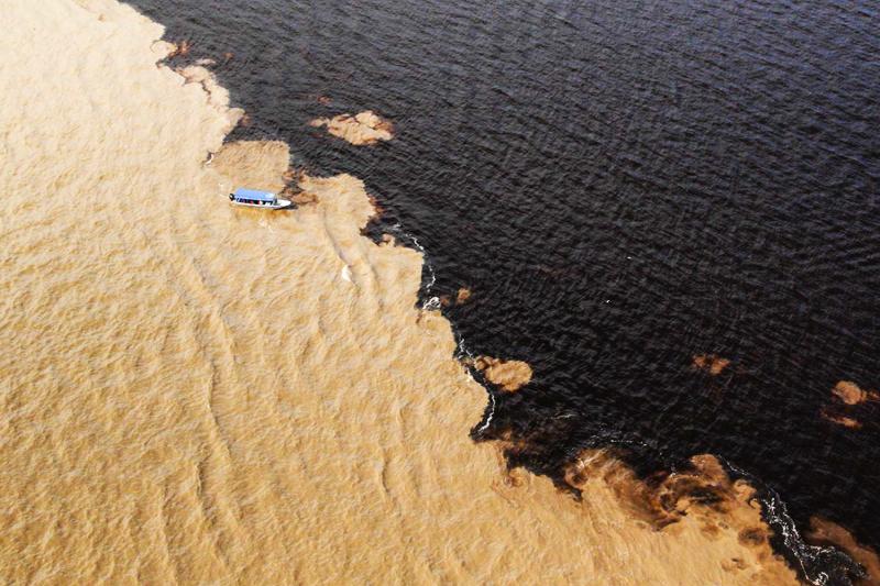 Manaus: Amazon Full-Day Experience with Indigenous Village, Pink Dolphins & Meeting of the Waters