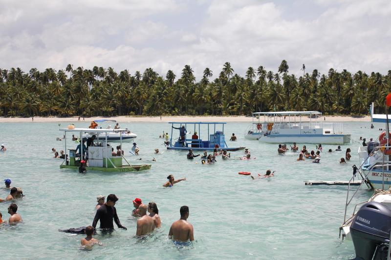From Recife or Porto de Galinhas: Maragogi Reef Tour: Full Day